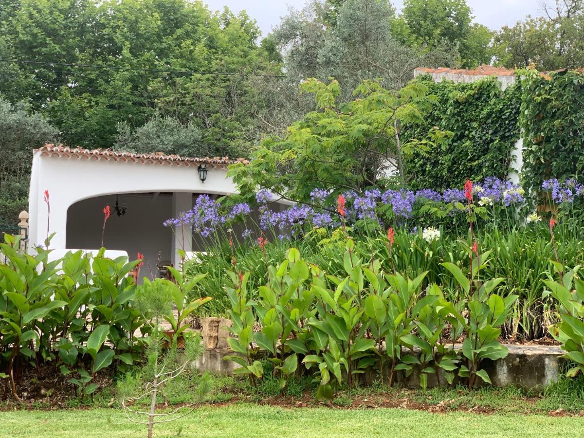 Quinta Dos Girassois Fz Apartment Ferreira do Zezere Exterior photo